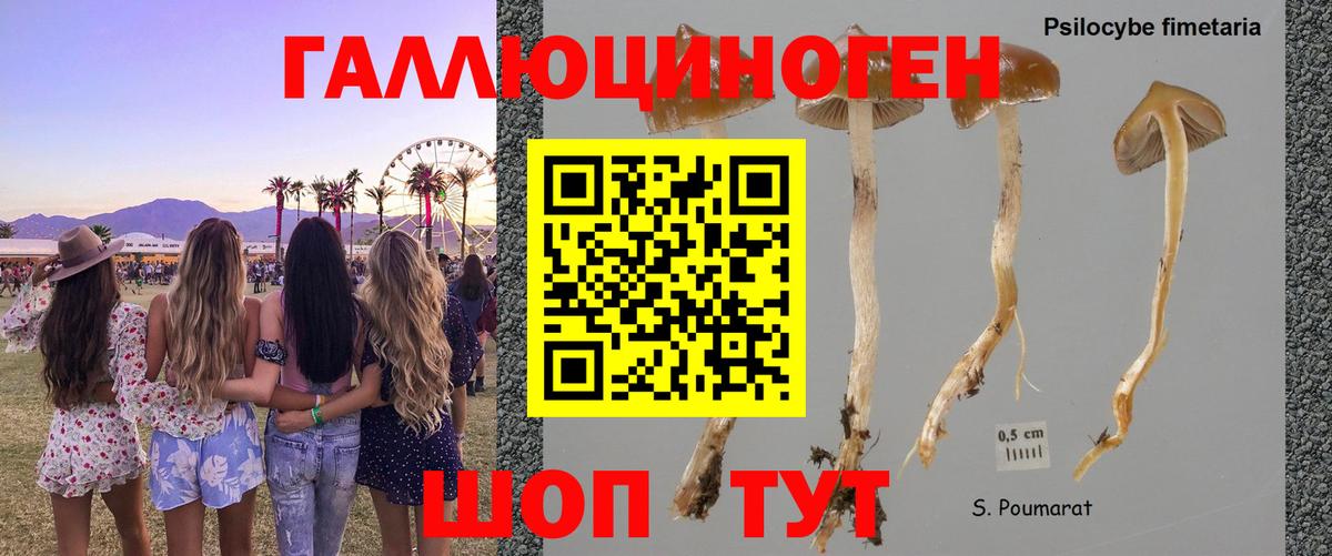 Псилоцибиновые грибы мицелий  Вход с VPN  Балашов 